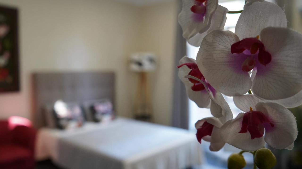 Cozy Studio With A Sea View Nice Ngoại thất bức ảnh